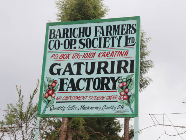 ケニア ガツリリ AA ウォッシュド